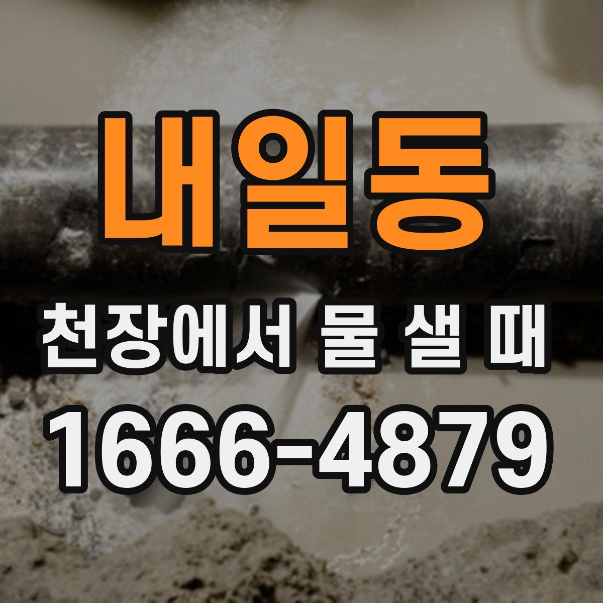 내일동 천장에서 물 샐 때