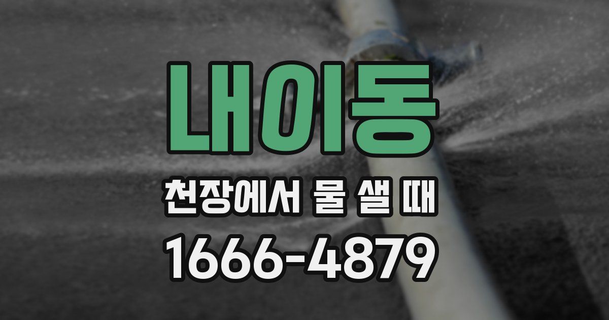 내이동 천장에서 물 샐 때