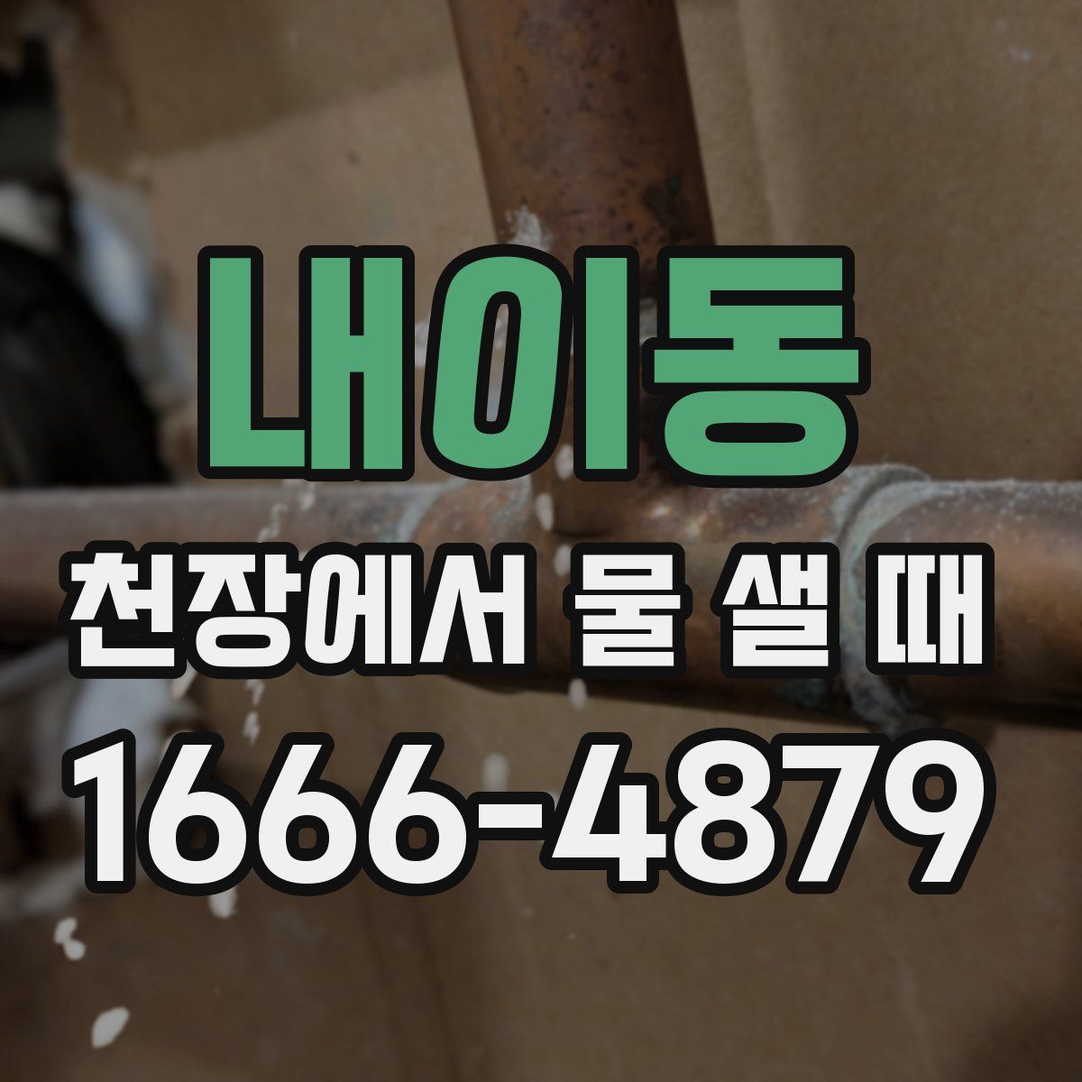 내이동 천장에서 물 샐 때