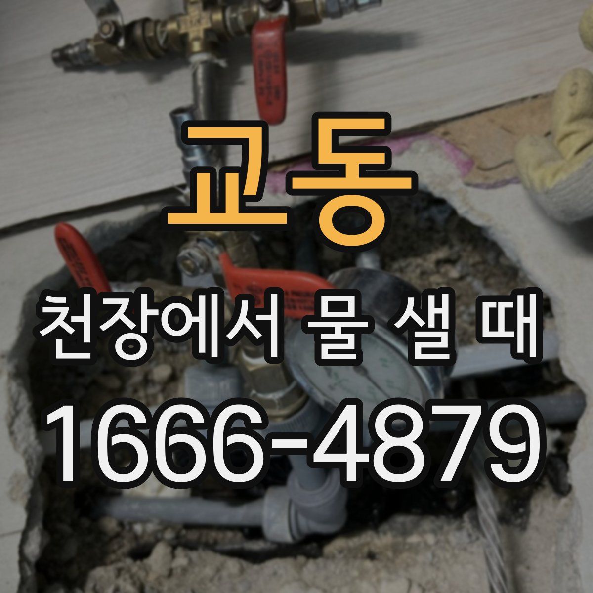 교동 천장에서 물 샐 때