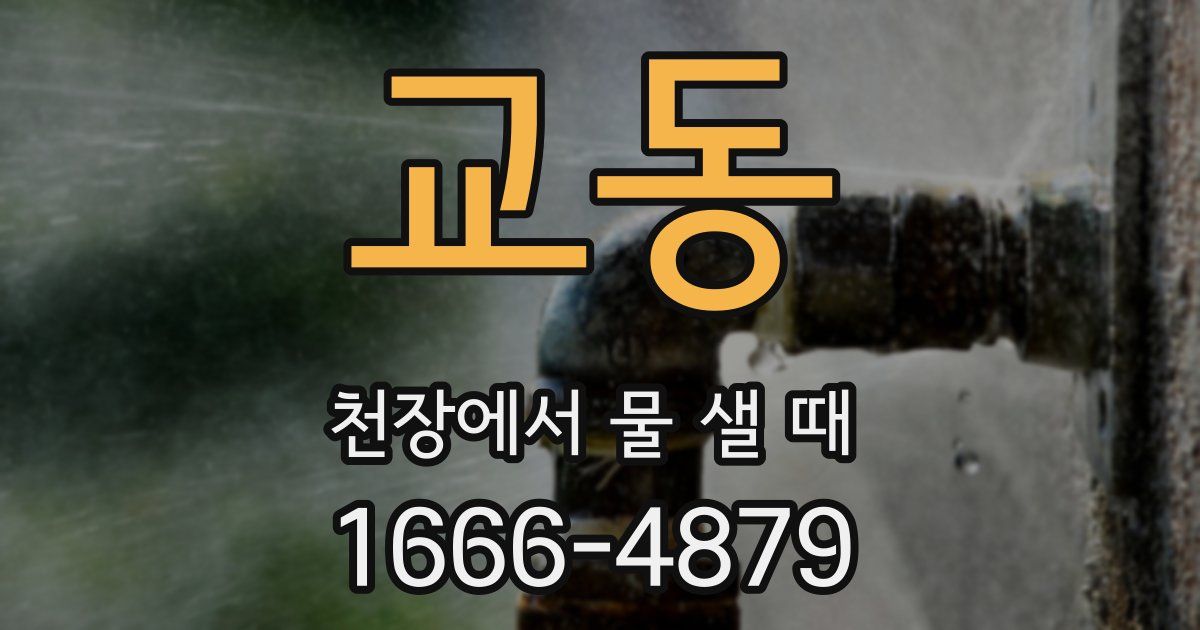 교동 천장에서 물 샐 때