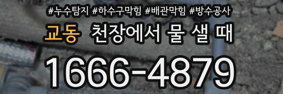 교동 천장에서 물 샐 때