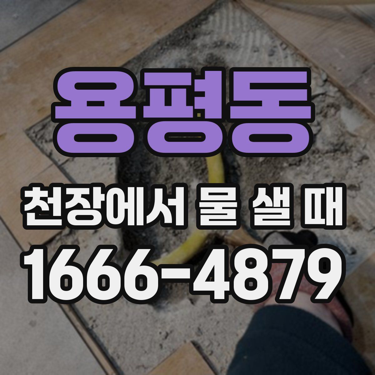 용평동 천장에서 물 샐 때