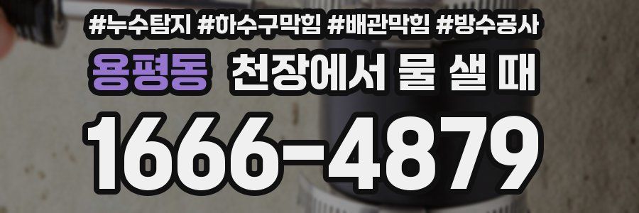 용평동 천장에서 물 샐 때