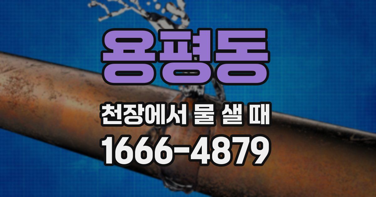 용평동 천장에서 물 샐 때