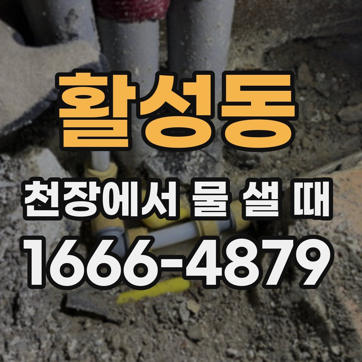 활성동 천장에서 물 샐 때