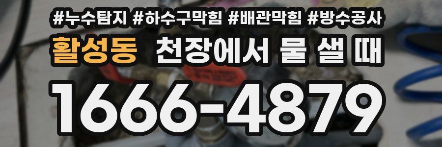 활성동 천장에서 물 샐 때