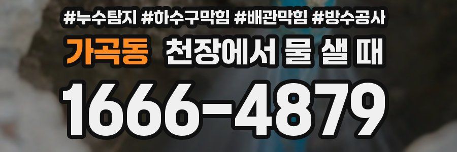 가곡동 천장에서 물 샐 때