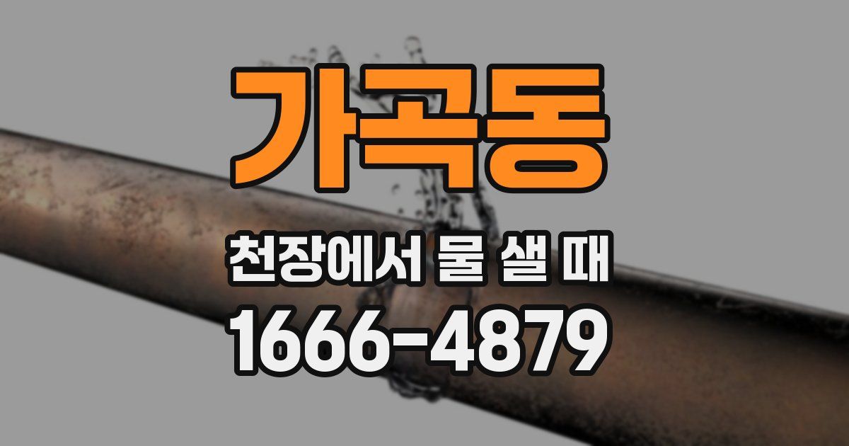 가곡동 천장에서 물 샐 때