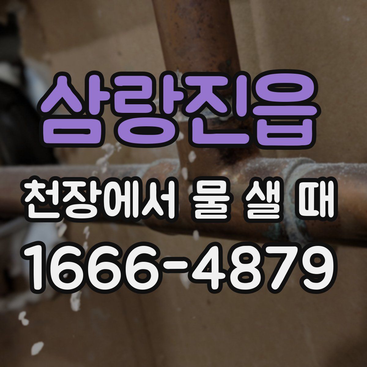 삼랑진읍 천장에서 물 샐 때