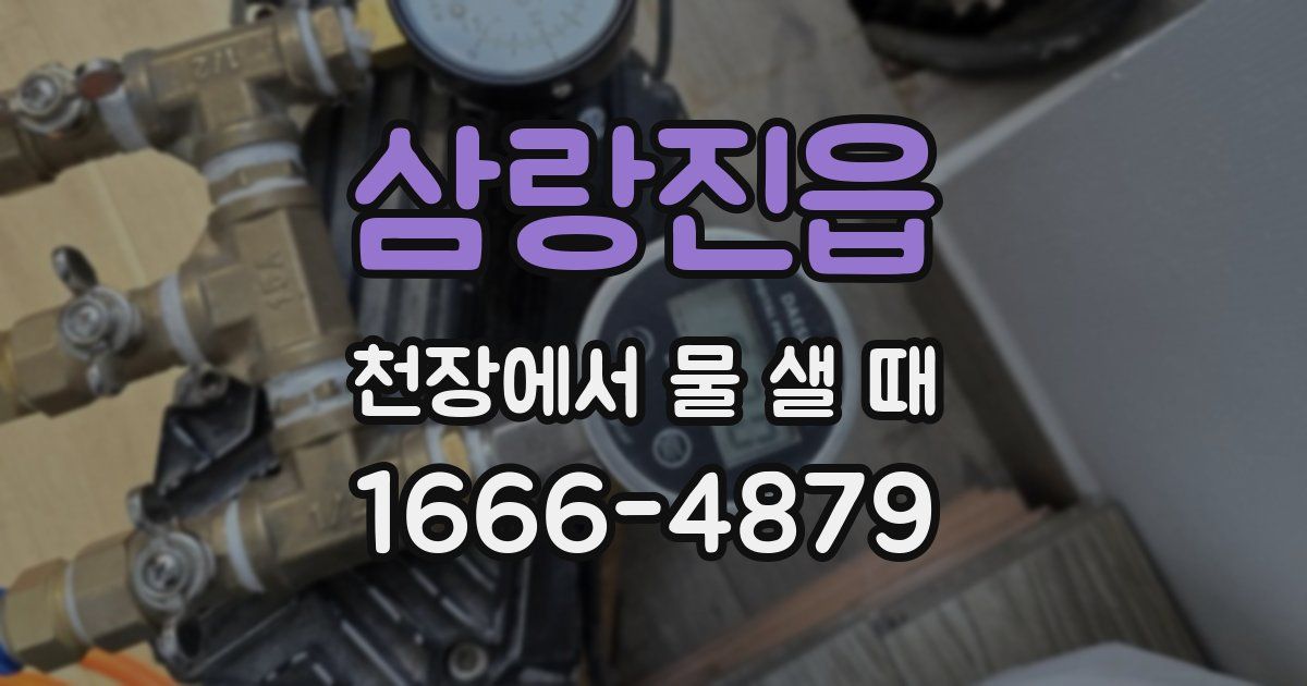 삼랑진읍 천장에서 물 샐 때