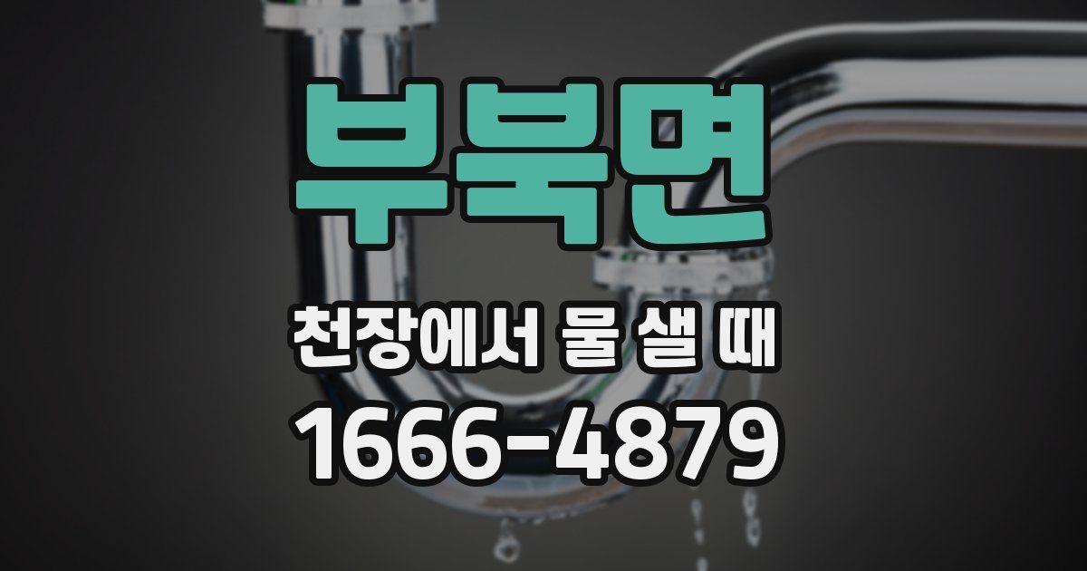 부북면 천장에서 물 샐 때