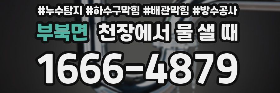 부북면 천장에서 물 샐 때