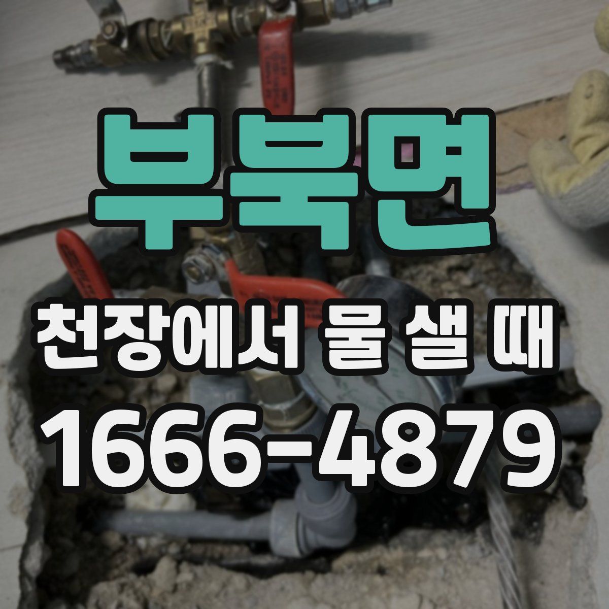 부북면 천장에서 물 샐 때