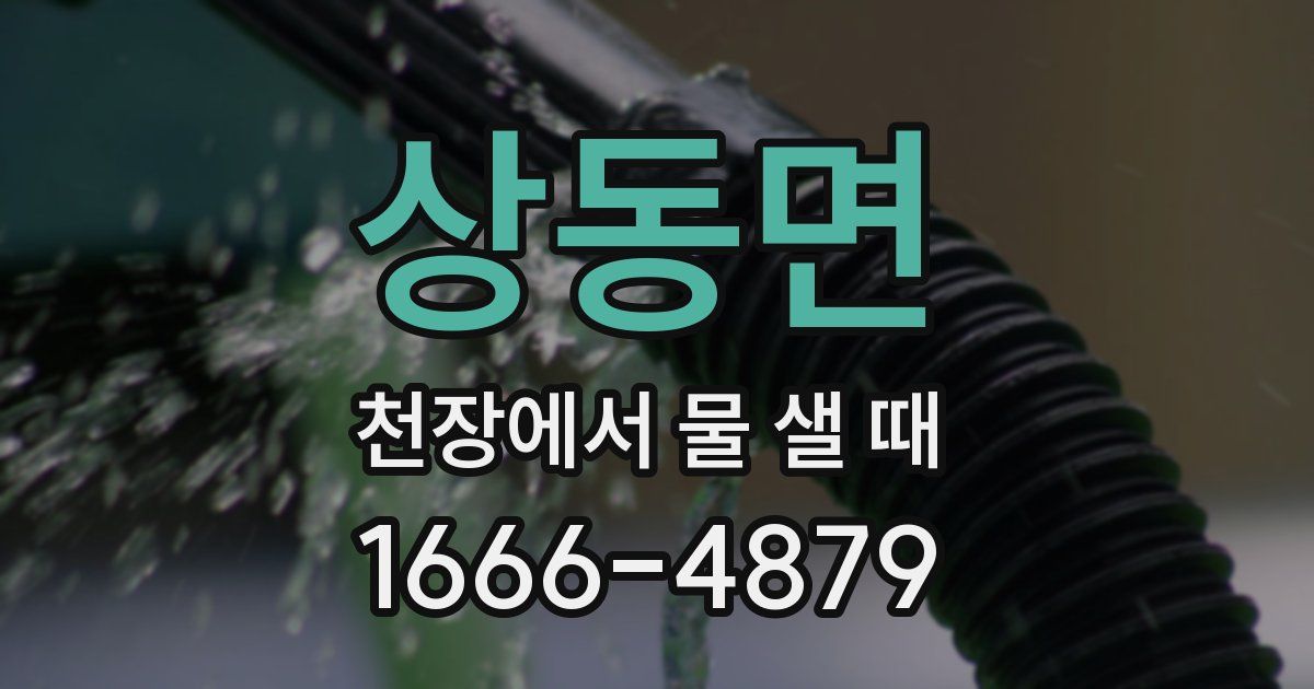 상동면 천장에서 물 샐 때