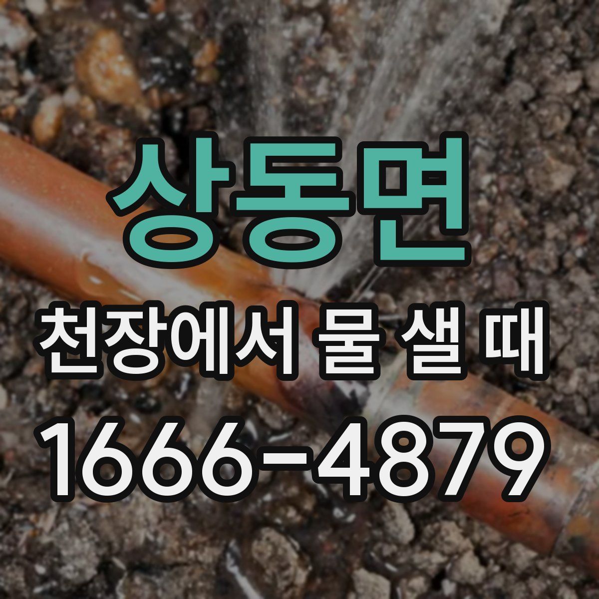 상동면 천장에서 물 샐 때