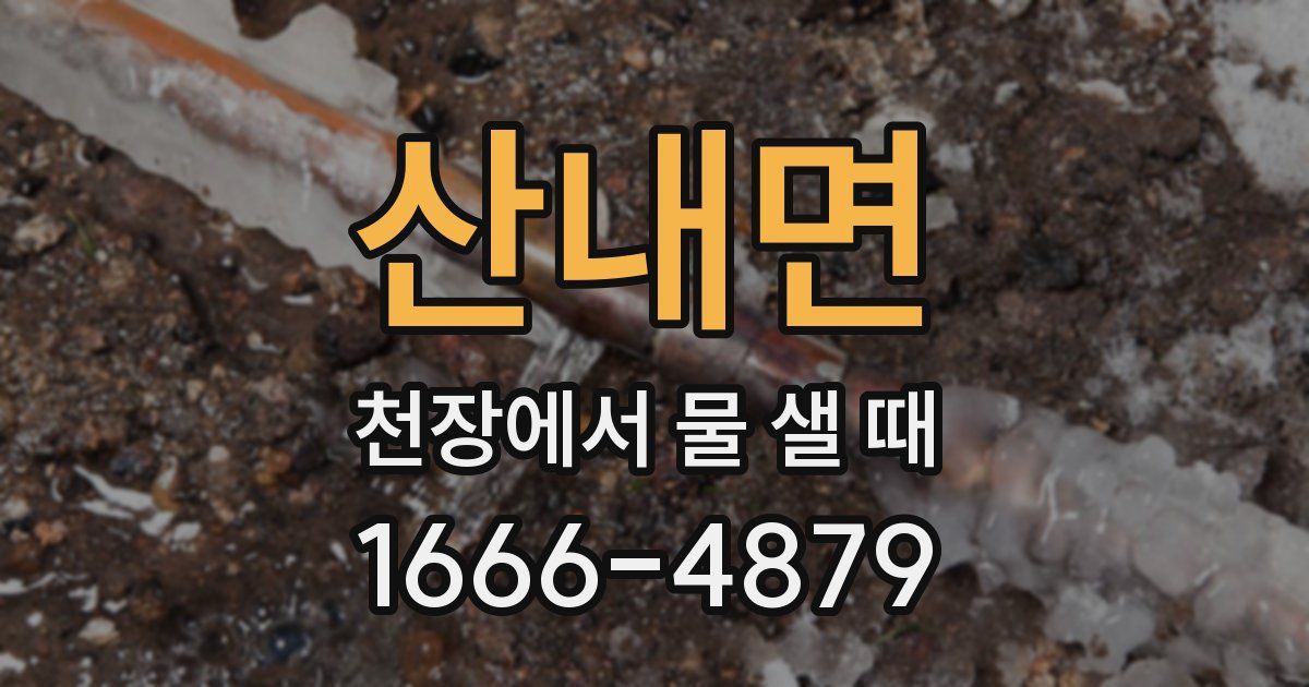 산내면 천장에서 물 샐 때