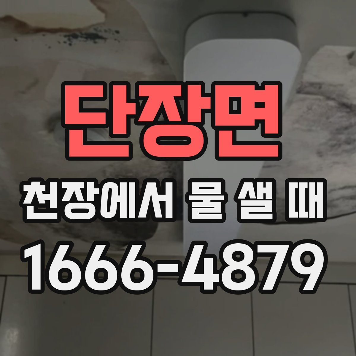 단장면 천장에서 물 샐 때