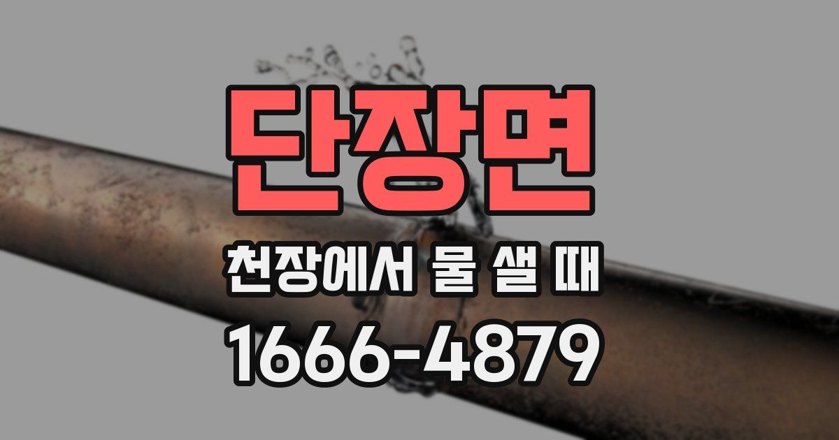 단장면 천장에서 물 샐 때