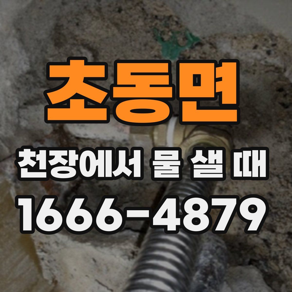 초동면 천장에서 물 샐 때