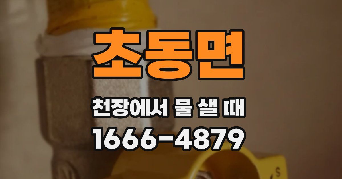 초동면 천장에서 물 샐 때