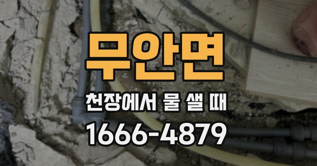 무안면 천장에서 물 샐 때