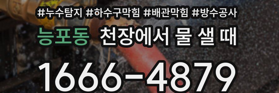 능포동 천장에서 물 샐 때