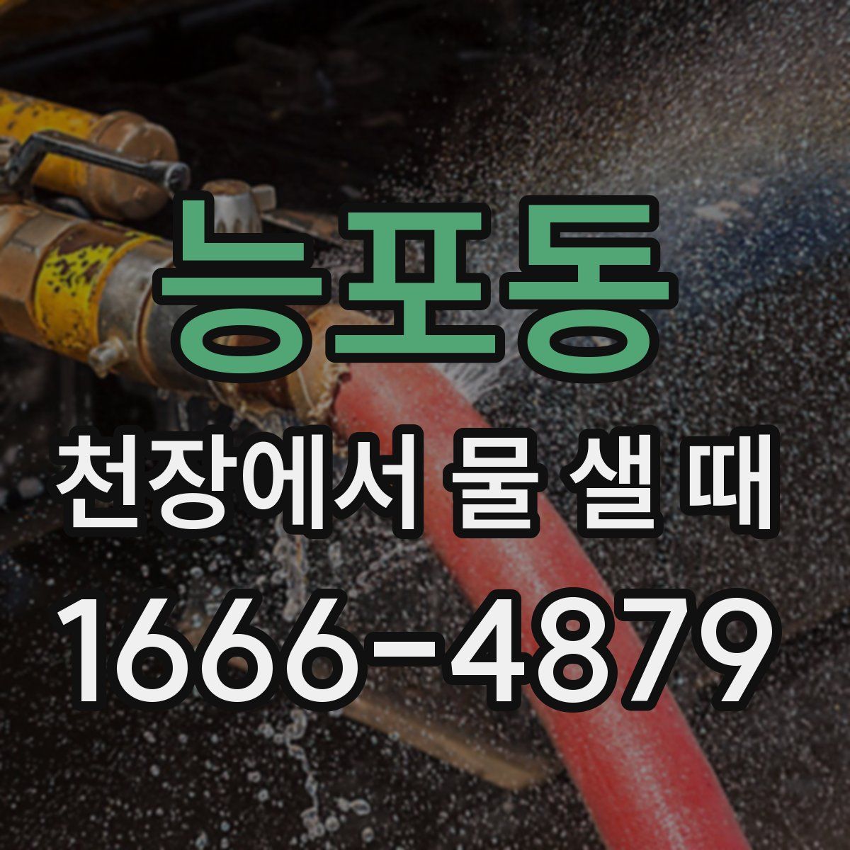 능포동 천장에서 물 샐 때