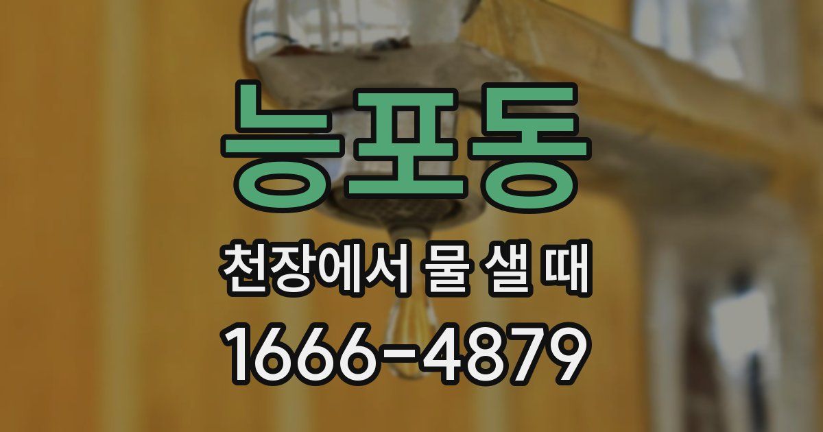 능포동 천장에서 물 샐 때