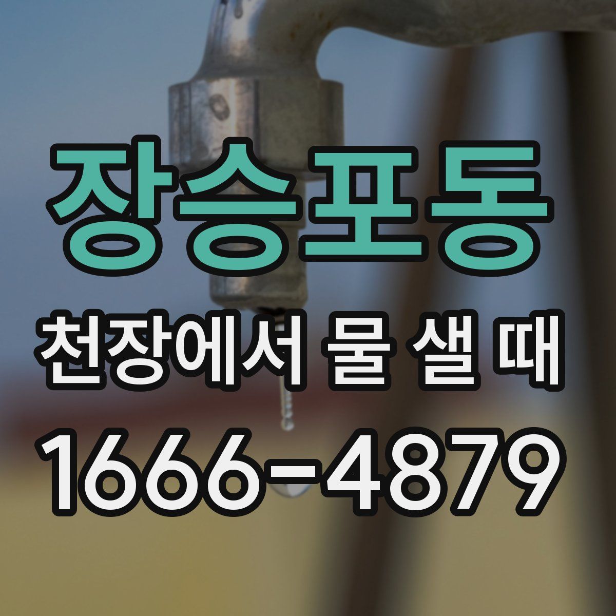 장승포동 천장에서 물 샐 때