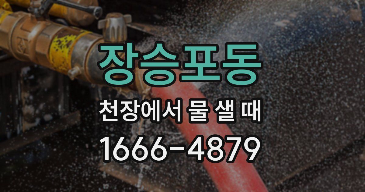 장승포동 천장에서 물 샐 때