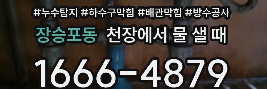 장승포동 천장에서 물 샐 때