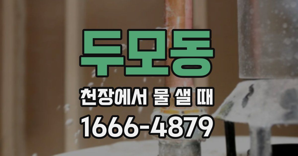 두모동 천장에서 물 샐 때