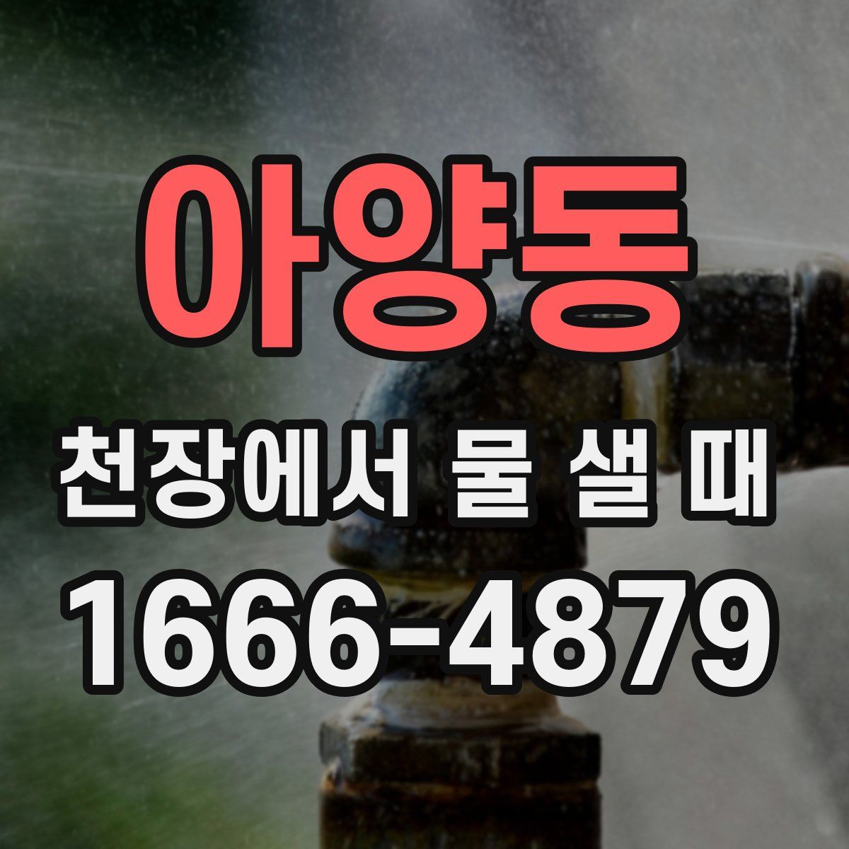 아양동 천장에서 물 샐 때