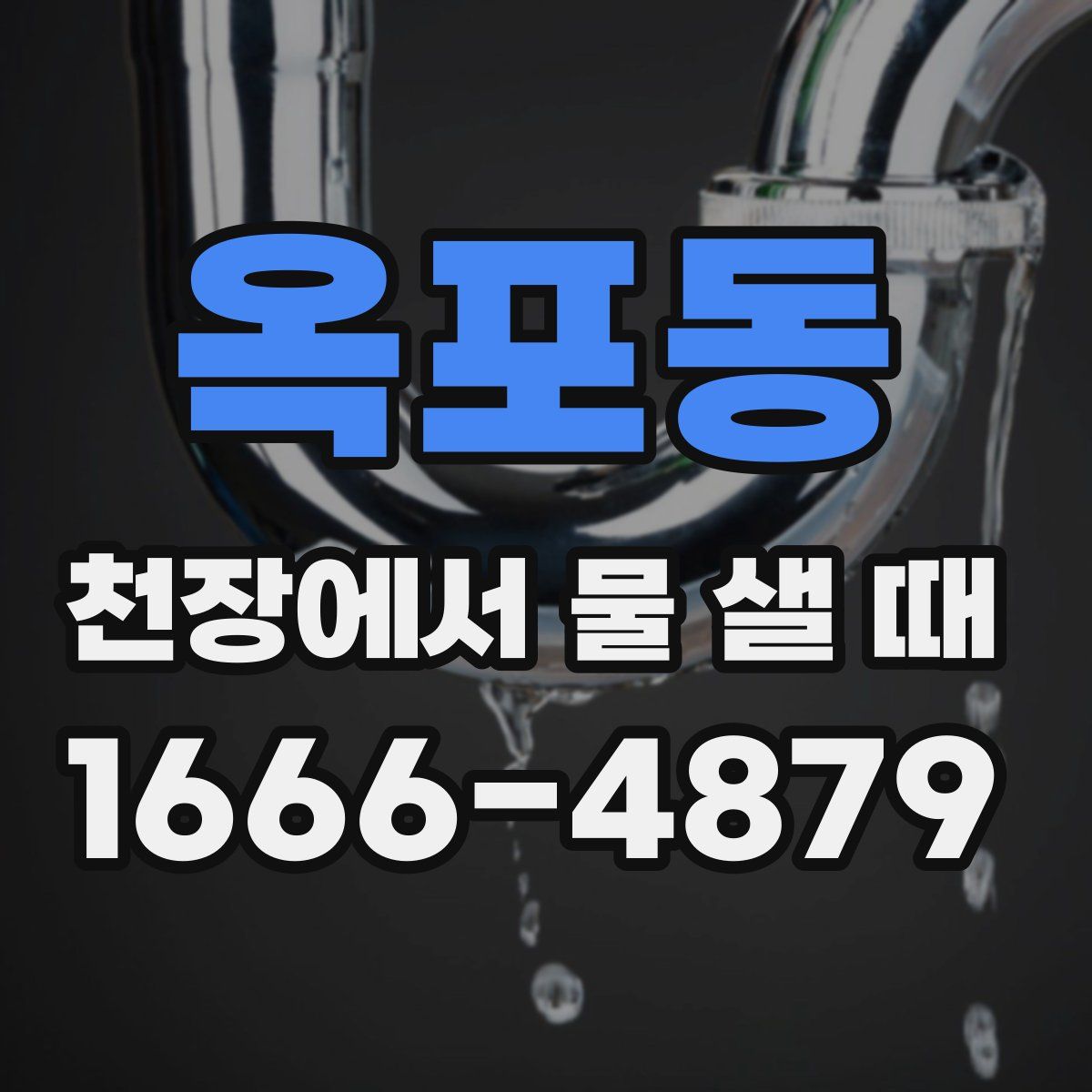 옥포동 천장에서 물 샐 때