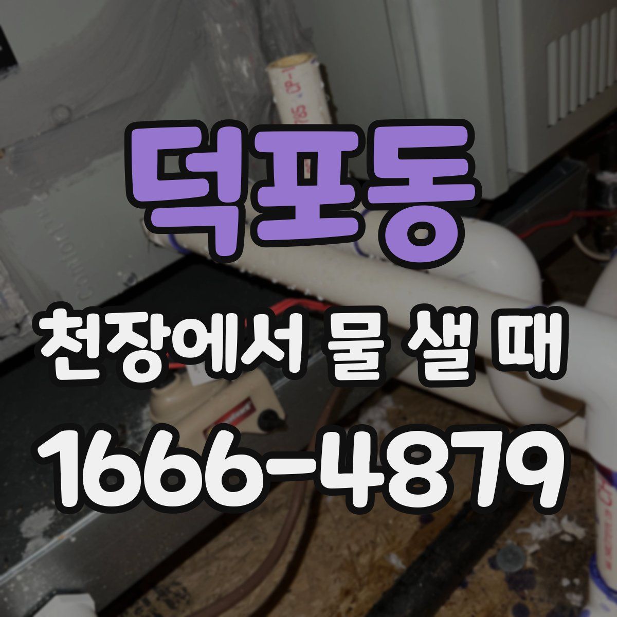 덕포동 천장에서 물 샐 때