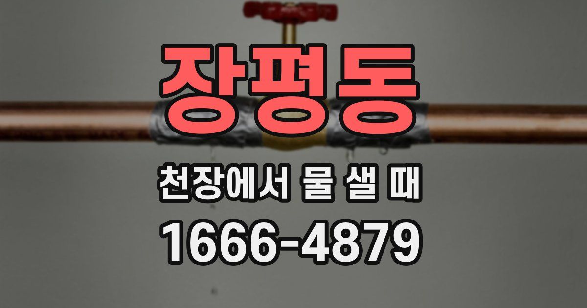 장평동 천장에서 물 샐 때
