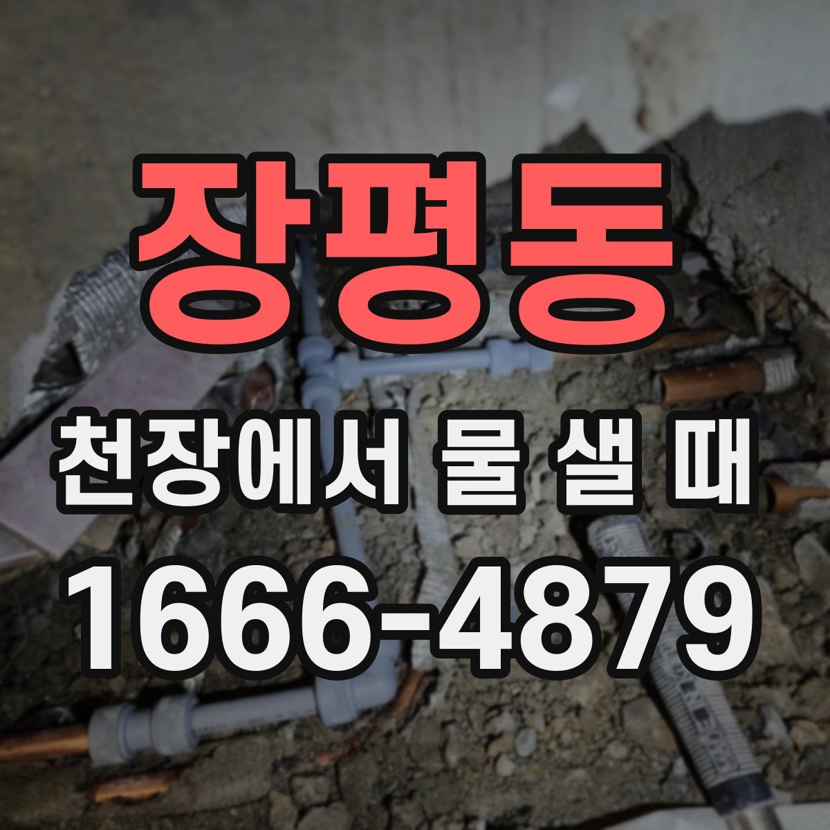 장평동 천장에서 물 샐 때