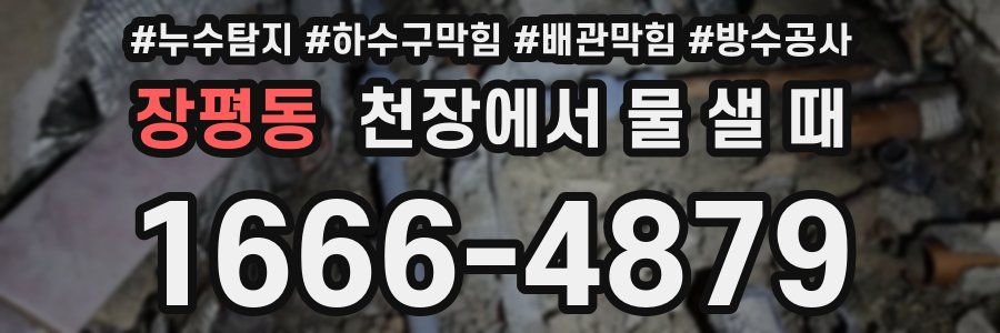 장평동 천장에서 물 샐 때