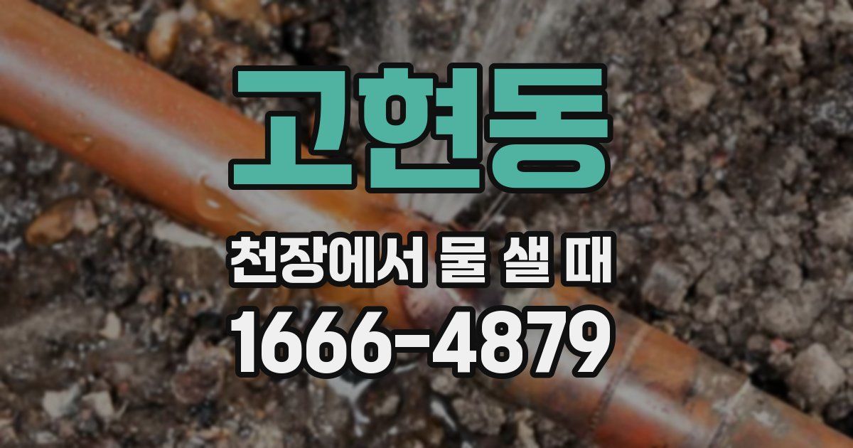 고현동 천장에서 물 샐 때