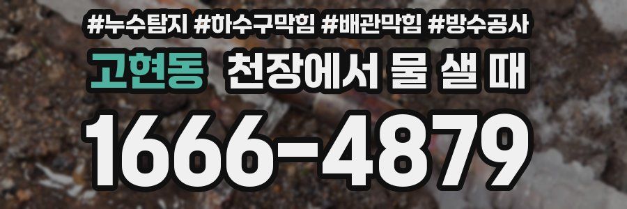 고현동 천장에서 물 샐 때