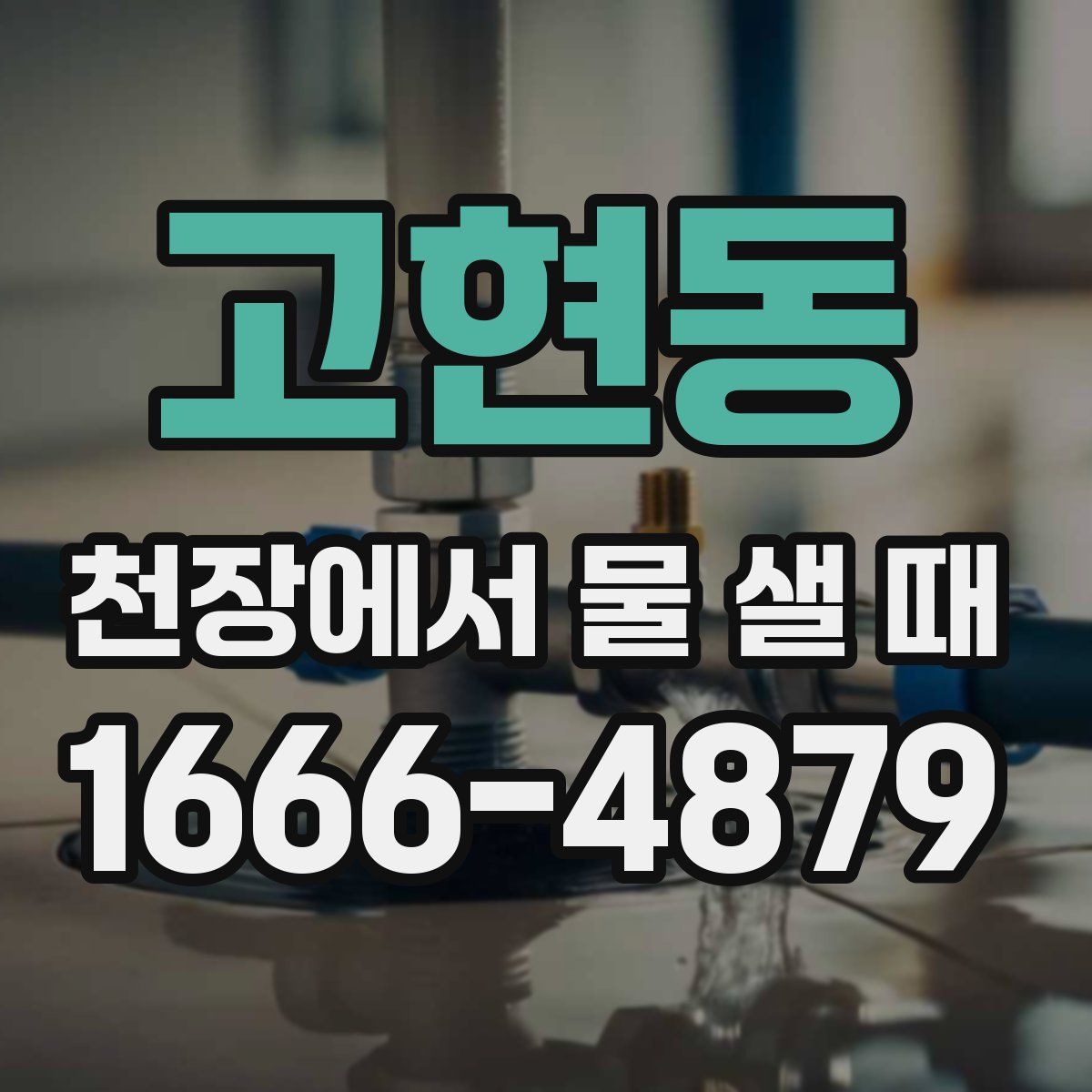 고현동 천장에서 물 샐 때