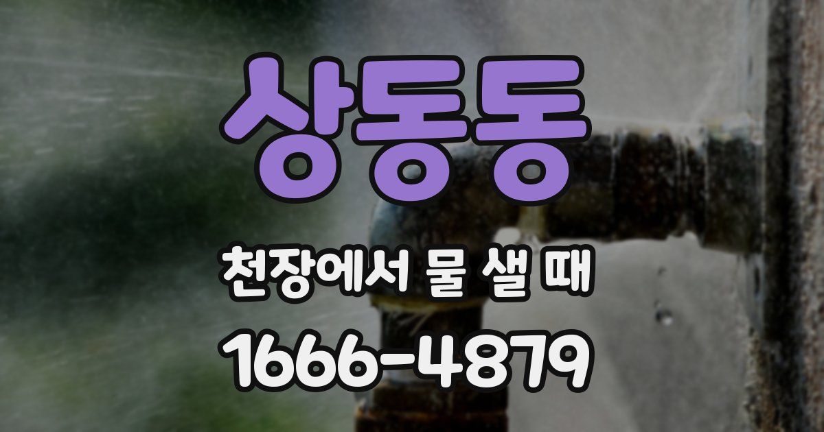 상동동 천장에서 물 샐 때