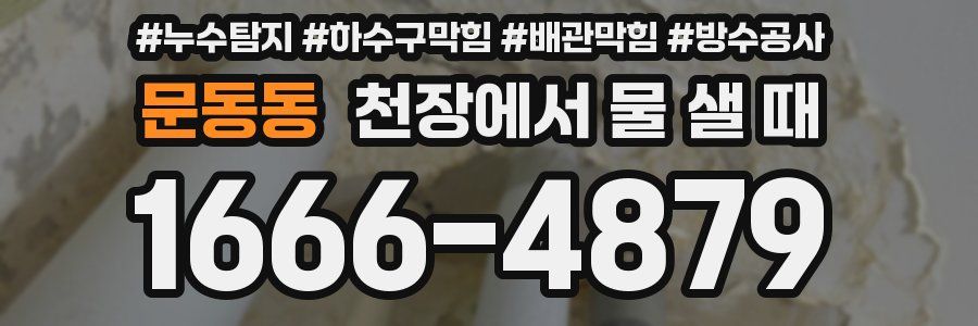 문동동 천장에서 물 샐 때