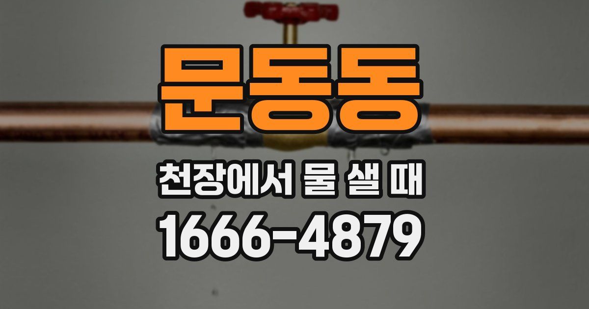 문동동 천장에서 물 샐 때