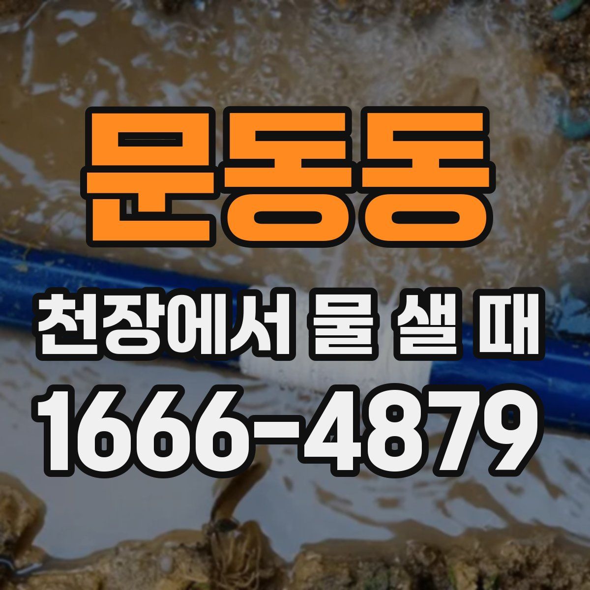 문동동 천장에서 물 샐 때