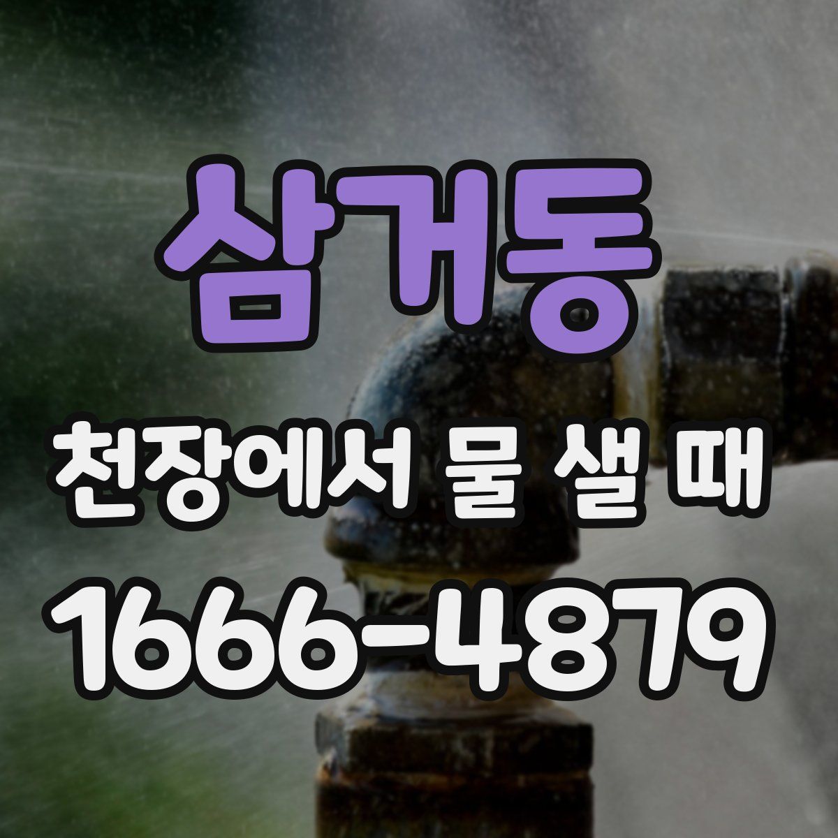 삼거동 천장에서 물 샐 때