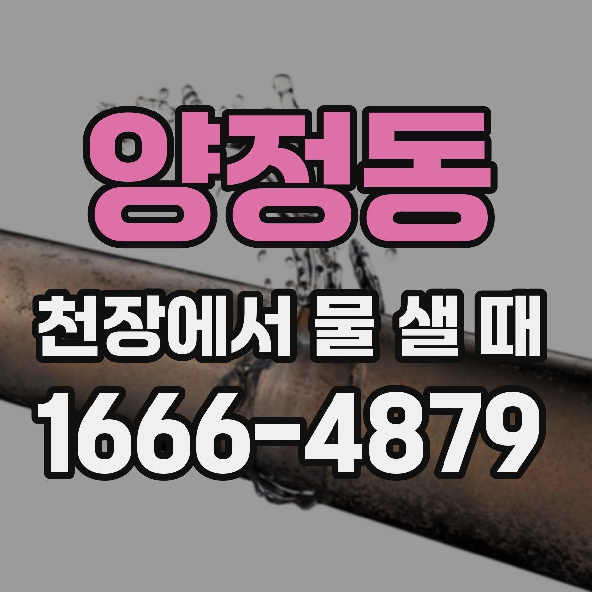 양정동 천장에서 물 샐 때