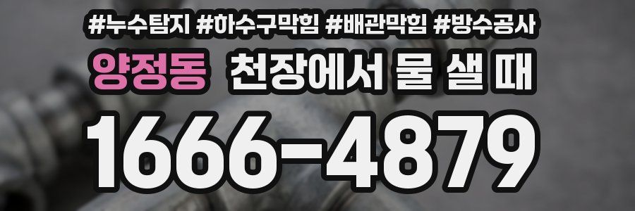 양정동 천장에서 물 샐 때