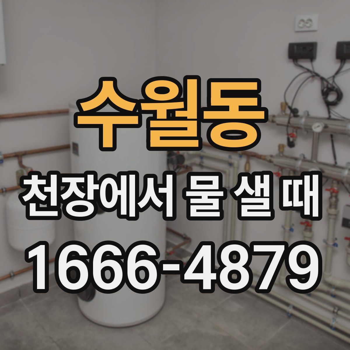 수월동 천장에서 물 샐 때